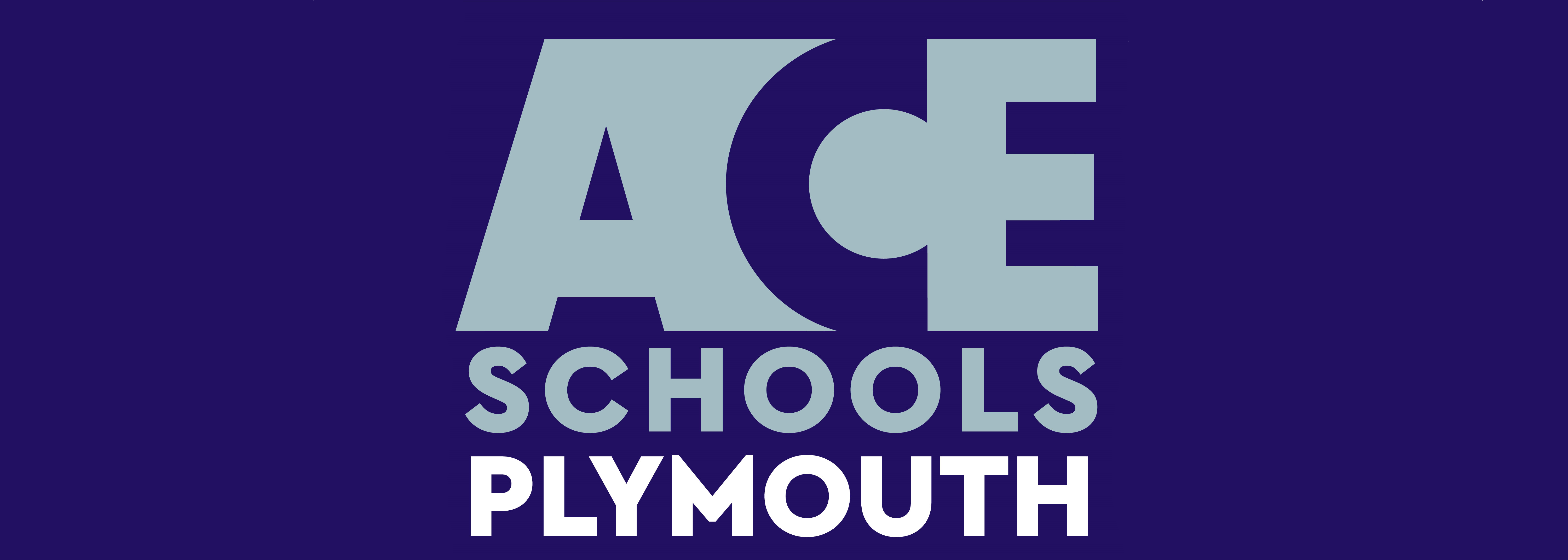 ACE Schools Logo